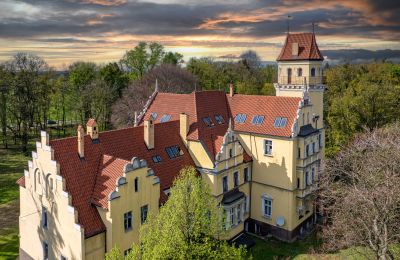 Character properties, Castle in Ornontowice, Silesia