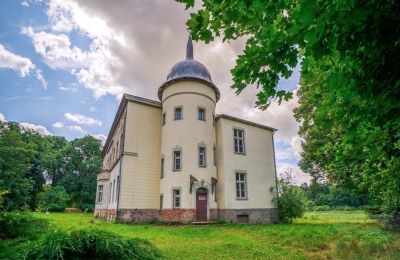 Castle for sale Krąpiel, Pałac w Krąpielu, West Pomerania, Image 6/15