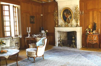 Castle for sale Centre-Loire Valley, Image 4/12