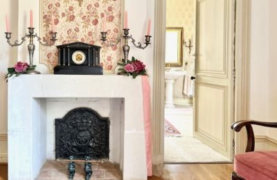 Castle for sale Centre-Loire Valley, Image 9/12