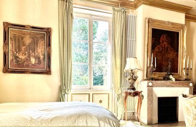 Castle for sale Centre-Loire Valley, Image 6/12
