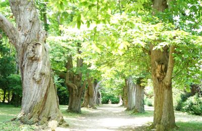 Castle for sale Centre-Loire Valley, Image 12/12