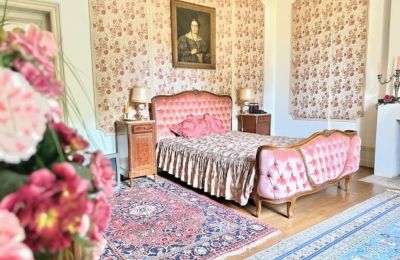 Castle for sale Centre-Loire Valley, Image 8/12