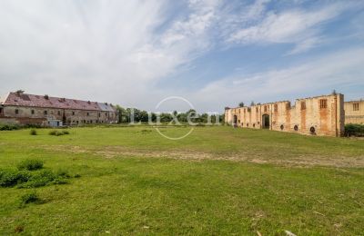 Castle for sale Kounice, Zámek Kounice, okres Nymburk, Zámek Kounice 2024