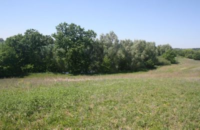 Manor House for sale 17309 Fahrenwalde,  Friedrichhof 7-8, Mecklenburg-West Pomerania, Image 24/26