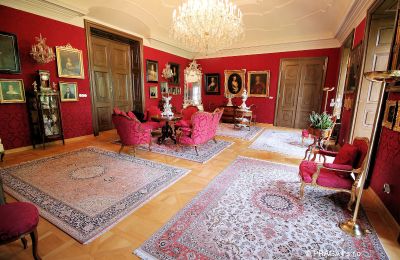 Castle for sale Kraj Vysočina, Drawing room
