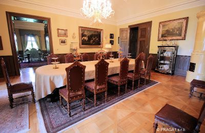 Castle for sale Kraj Vysočina, Image 8/19