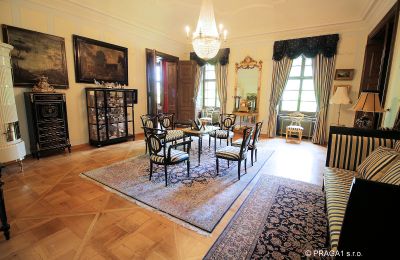 Castle for sale Kraj Vysočina, Image 9/19