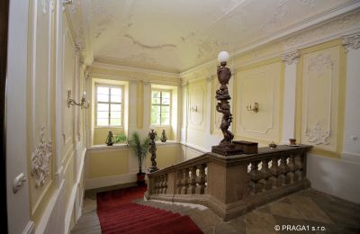 Castle for sale Kraj Vysočina, Hallway