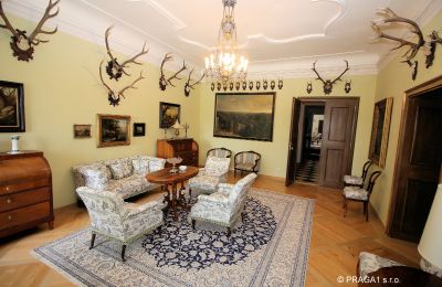 Castle for sale Kraj Vysočina, Image 13/19