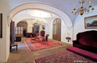 Castle for sale Kraj Vysočina, Entrance Hall