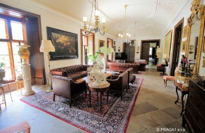 Castle for sale Kraj Vysočina, Large Hall