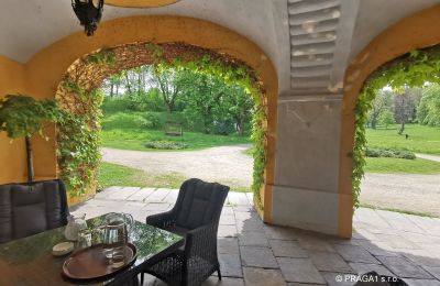 Castle for sale Kraj Vysočina, Arcarde