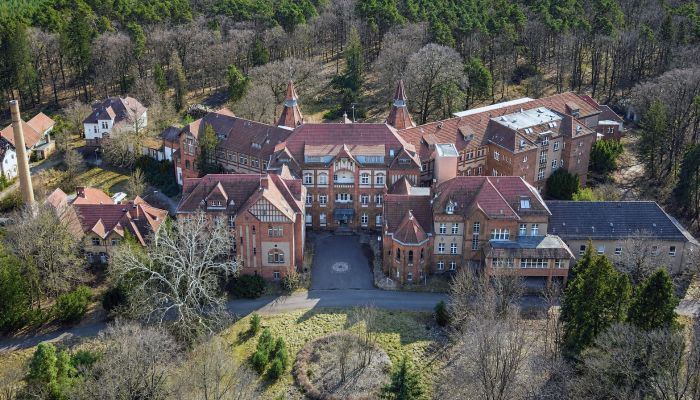 Castle for sale Cottbus, Brandenburg