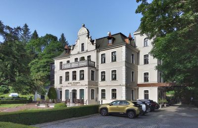 Historic Villa for sale Duszniki-Zdrój, Wojska Polskiego 10, Lower Silesia, Side view