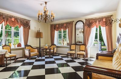 Manor House for sale 05-332 Żaków, Mazovia, Drawing room