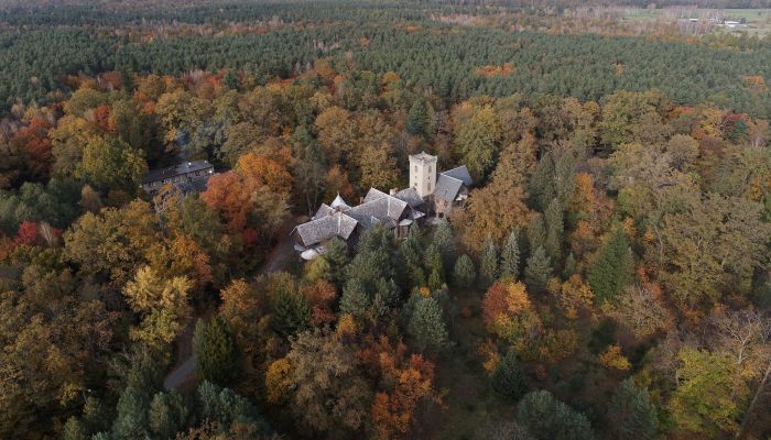 Castle for sale Sośnie, Greater Poland,  Poland