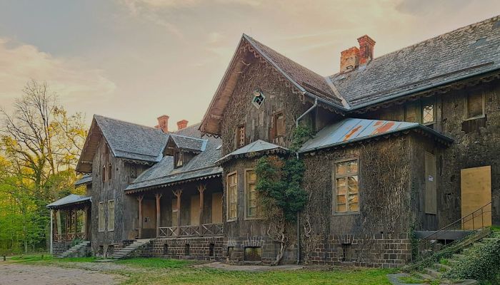 Castle for sale Sośnie, Greater Poland