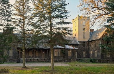 Castle for sale Sośnie, Jana Sztolcmana 1, Greater Poland, Image 8/8
