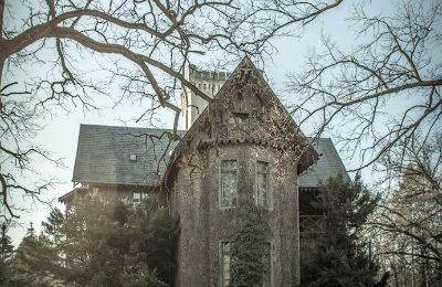 Castle for sale Sośnie, Jana Sztolcmana 1, Greater Poland, Image 4/7