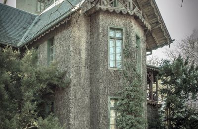 Castle for sale Sośnie, Jana Sztolcmana 1, Greater Poland, Image 6/7