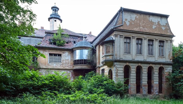 Can Schloss Friedrichstanneck Palace still be saved