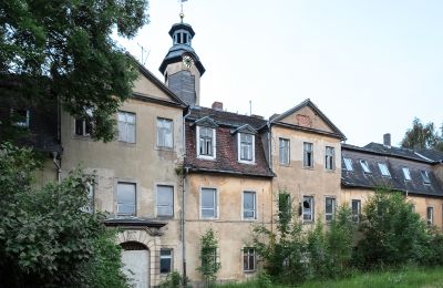 Can Schloss Friedrichstanneck Palace still be saved, Image 2
