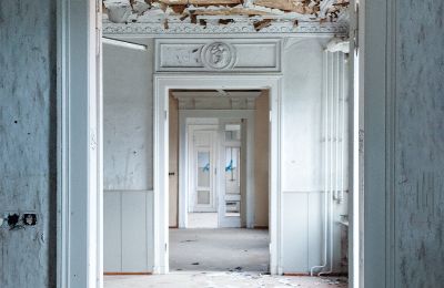 Can Schloss Friedrichstanneck Palace still be saved, Image 6