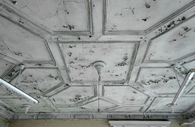 Can Schloss Friedrichstanneck Palace still be saved, Image 10
