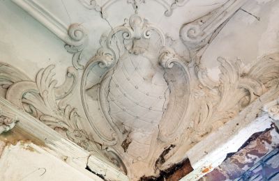 Can Schloss Friedrichstanneck Palace still be saved, Image 11