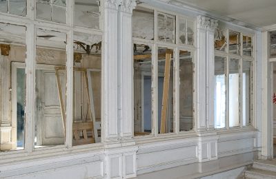 Can Schloss Friedrichstanneck Palace still be saved, Image 4
