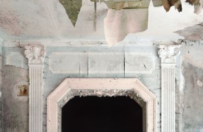 Can Schloss Friedrichstanneck Palace still be saved, Image 13