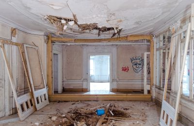 Can Schloss Friedrichstanneck Palace still be saved, Image 8