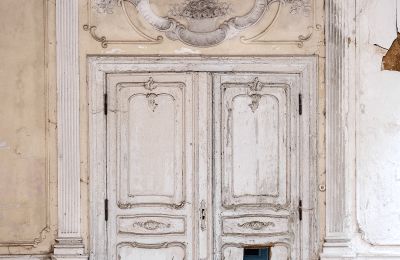 Can Schloss Friedrichstanneck Palace still be saved, Image 14
