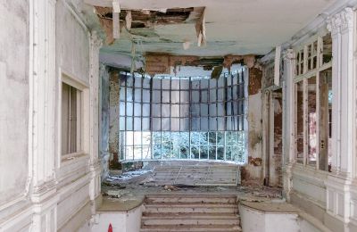 Can Schloss Friedrichstanneck Palace still be saved, Image 3