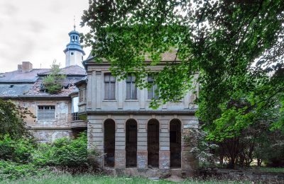 Can Schloss Friedrichstanneck Palace still be saved, Image 15