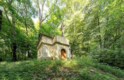 Manor House for sale Poręba Żegoty, Ruiny Dworu Szembeków, Lesser Poland, Image 16/20