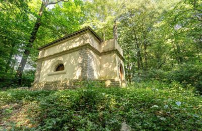 Manor House for sale Poręba Żegoty, Ruiny Dworu Szembeków, Lesser Poland, Image 17/20