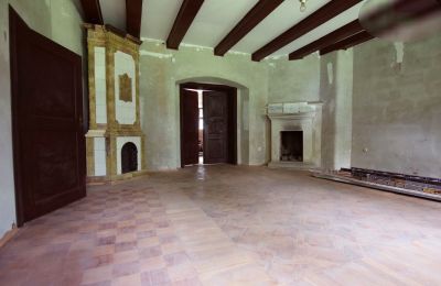 Manor House for sale Rogoźno, Dwór w Studzieńcu 28, Greater Poland, Image 11/16