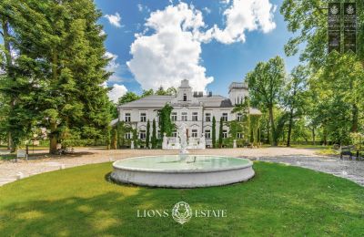 Manor House for sale Pstrokonie, Łódź Region, Image 12/50