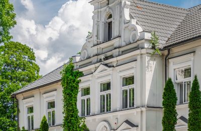 Manor House for sale Pstrokonie, Łódź Region, Image 4/50