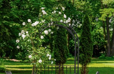 Manor House for sale Pstrokonie, Łódź Region, Image 3/50