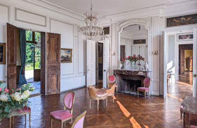 Castle for sale Gisors, Normandy, Drawing room