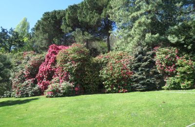 Historic villa for sale Belgirate, Piedmont, Image 34/39