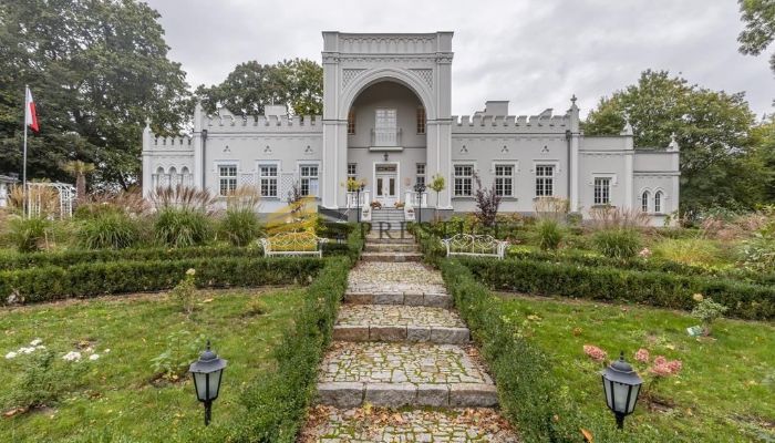 Manor House for sale Naruszewo, Mazovia,  Poland