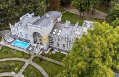 Manor House for sale Naruszewo, Mazovia, Image 5/25