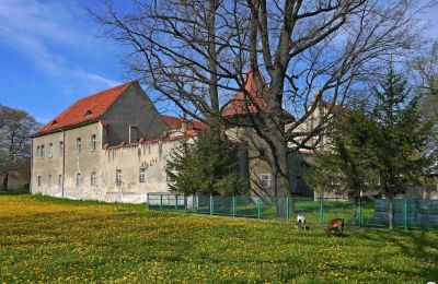 Castle for sale Bielawa, Wolności 92, Lower Silesia, Image 4/7