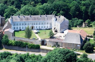 Castle for sale Roussy-le-Bourg, Grand-Est, Château de Roussy-Comté