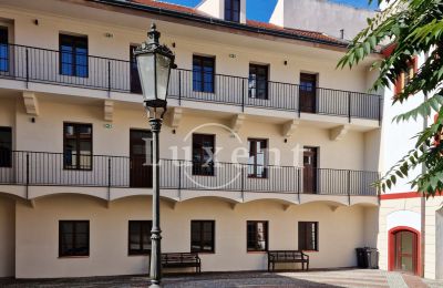 Town House for sale Litoměřice, Mírové náměstí 12/4, Ústecký kraj, Image 13/16