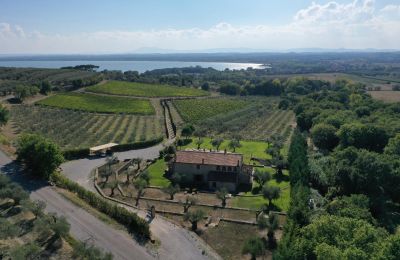 Country home for sale 06069 Tuoro sul Trasimeno, Umbria, Image 2/23